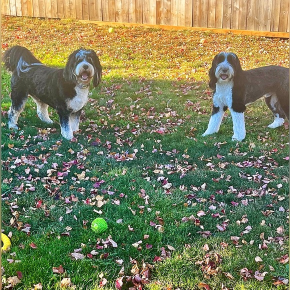 Meet your Posher, Mel - Picture 5 of 7